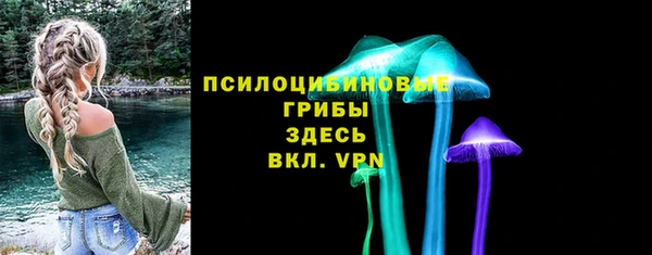 крисы Абдулино