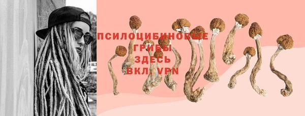 крисы Абдулино
