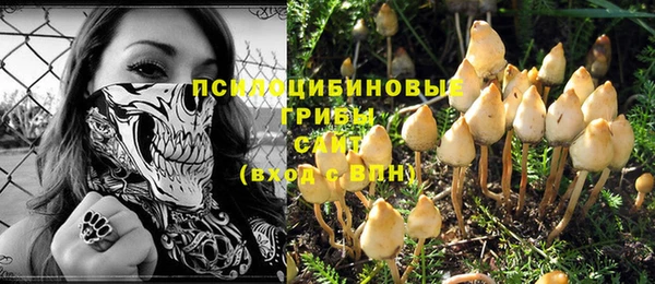 крисы Абдулино