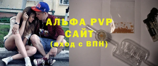 стафф Новозыбков