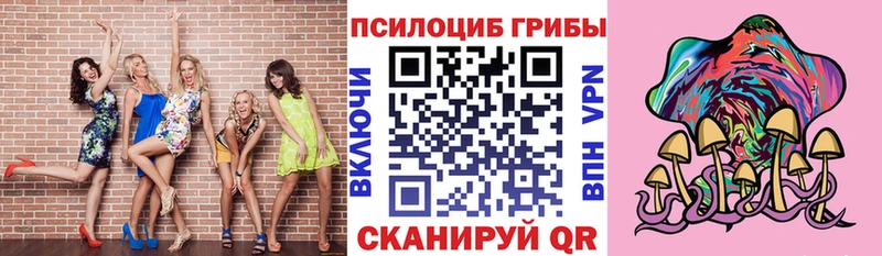 Псилоцибиновые грибы мицелий  купить наркотики сайты  Плавск 